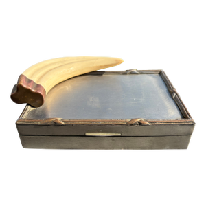 Mid 20th Century Faux Tusk Box
