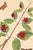 A striking example of 18th-century natural history illustration, this vintage art print reproduction features an elegant...