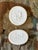Mid 19th Century 19th Century Italian Plaster Intaglio Reliefs by John Tyrell - A Pair For Sale - Image 5 of 8