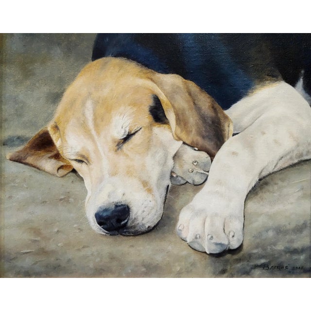 American Anita Baarns - Cute Fox Hound Puppy Dog Sleeping -Oil Painting For Sale - Image 3 of 8