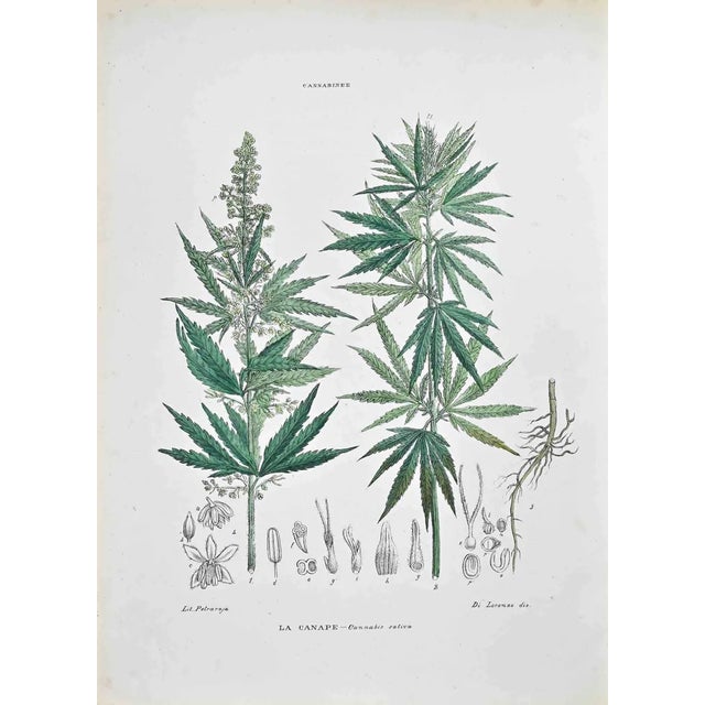 Vincenzo Tenore, The Canale, Lithograph, 1870s For Sale