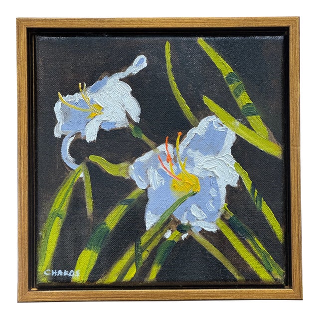 "White Stargazer Lilly's:" For Sale