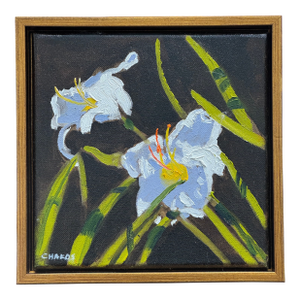 "White Stargazer Lilly's:"