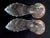 Glass Mid-Century Heisey Glass Pouter Pigeon Figurines - A Pair For Sale - Image 7 of 12