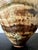 Fine Early Sculptural Ceramic Hand-built Vessel by Ewen Henderson For Sale - Image 10 of 16