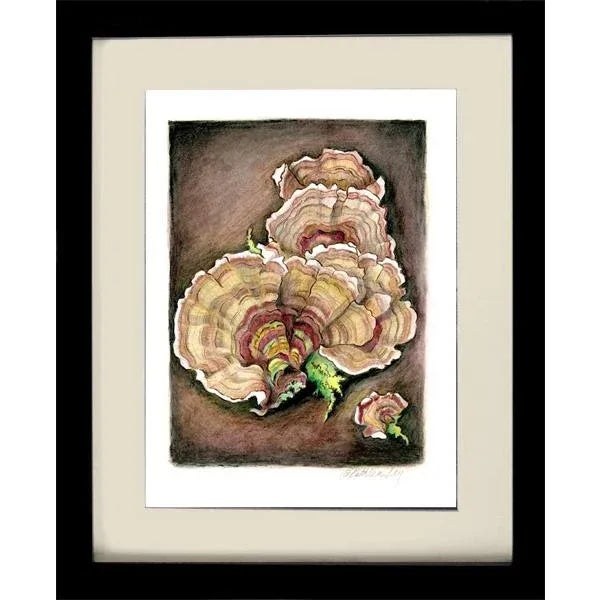 "Turkey Tails 2" Contemporary Original Fine Art Still Life Drawing by Kathleen Ney For Sale - Image 4 of 5