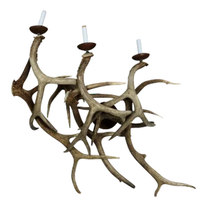 Antler Wall Sconces, Three-Light - A Pair