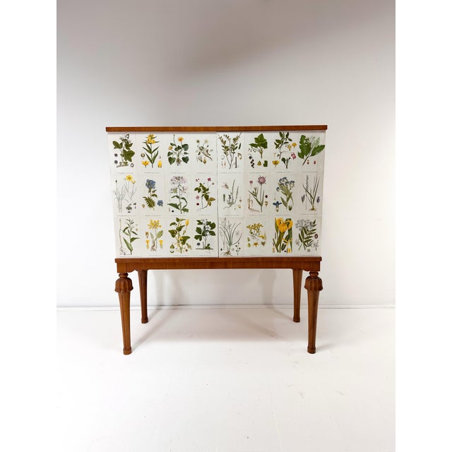 1940’s Swedish Cabinet With Nordens Flora Illustrations For Sale - Image 9 of 9