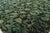 Contemporary Floral European Inspired Tibetan Rug by Doris Leslie Blau For Sale - Image 4 of 4