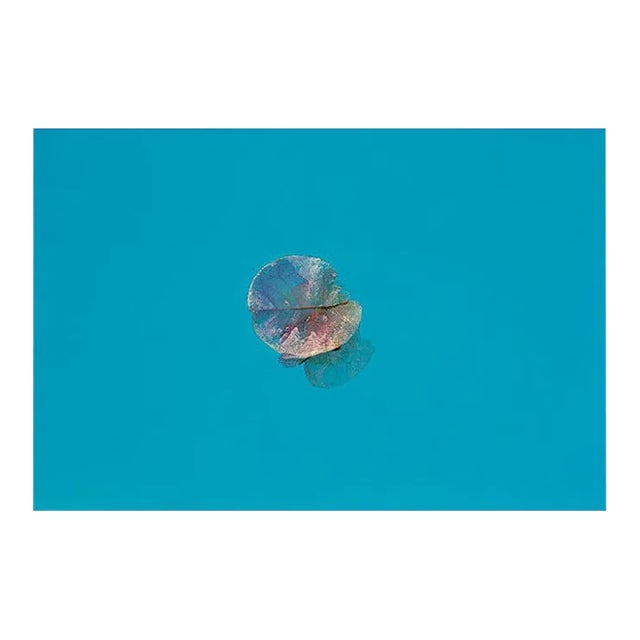 Istan Petal Oversize Archival Pigment Print Framed in White, 2020 For Sale