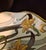 Italian Gilded Majolica Tazza by G. Fieravino, 1960s For Sale - Image 10 of 13