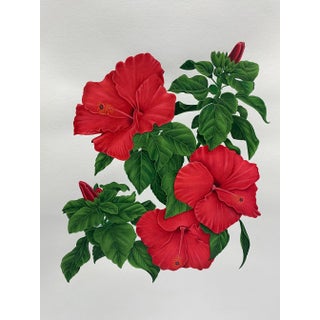 Hibiscus Miniature Flower Painting, Original Watercolour Hibiscus Botanical Artwork, Red Hibiscus For Sale