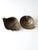 Mid-Century Brass Seashell Wall Sconces- a Pair For Sale - Image 11 of 11