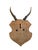 1960s Roe Deer Trophy 134 Black Foret Antlers For Sale - Image 5 of 5