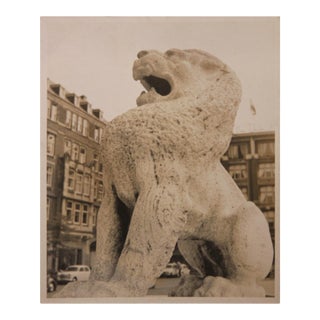 Unknown Early Black and White Photograph of a Foo Dog Sculpture Mid 20th Century For Sale