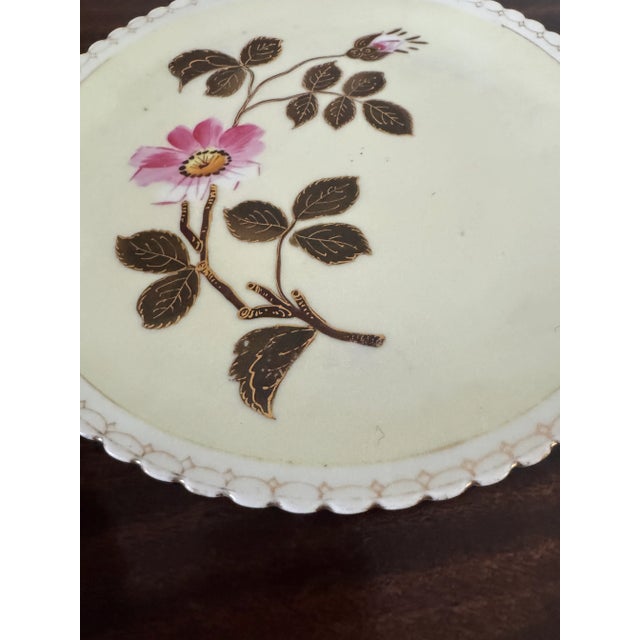 19th Century Pink Floral Cabinet Plates a Pair For Sale - Image 9 of 12