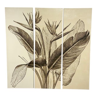 Vision Studio Bird of Paradise Triptych Canvas Wall Art, Set of Three For Sale