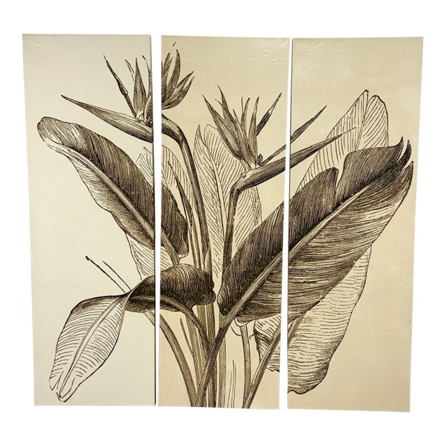 Vision Studio Bird of Paradise Triptych Canvas Wall Art, Set of Three For Sale