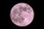 Christophe Lehenaff, The Super Full Pink Moon, 2021, Photographic Paper, in Flawless conditions. Designed from 2000 This...