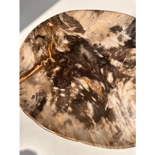Very Large Vide-Poche or Dish in Petrified Wood For Sale - Image 15 of 18