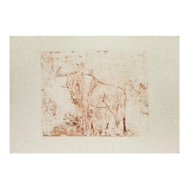 Aldo Pagliacci - Buffalo - Etching on Paper - 1971 For Sale