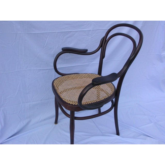 Vienna Straw Chair by J & J Kohn for Jacob & Josef Kohn, 1890s For Sale - Image 6 of 11