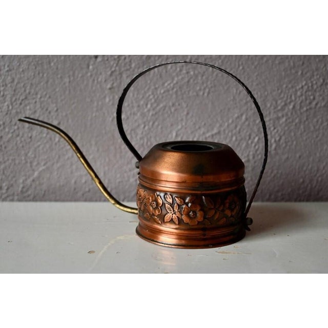For cacti, orchids, or succulents, this charming little vintage watering can will prove precise, practical, and highly...