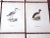 Late 19th Century Antique 19th C. Large Folio Water Bird Lithographs - Set of 9 For Sale - Image 5 of 9