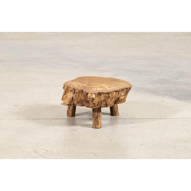 French Elm Side Table, 1900 For Sale - Image 9 of 10