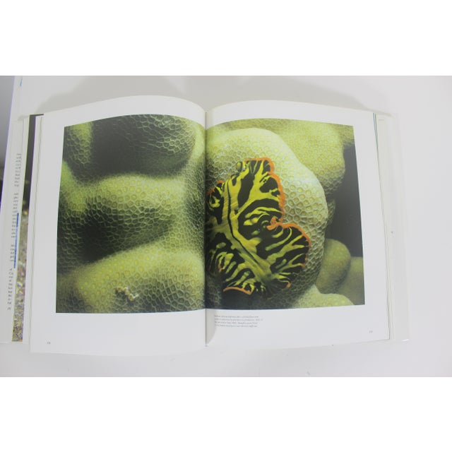 1985 Jacques Cousteau the Ocean World Hardcover Book For Sale - Image 9 of 11