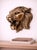 Antique Copper Finish Metal Lion Head Wall Sculptures For Sale - Image 4 of 9