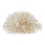 Massive Natural Table Coral Specimen For Sale