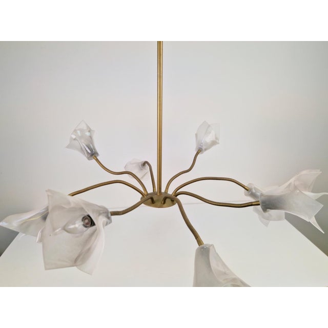 Vintage Flex Pendant Light with Eight Arms in Brass and Acrylic, 1970 For Sale - Image 14 of 15