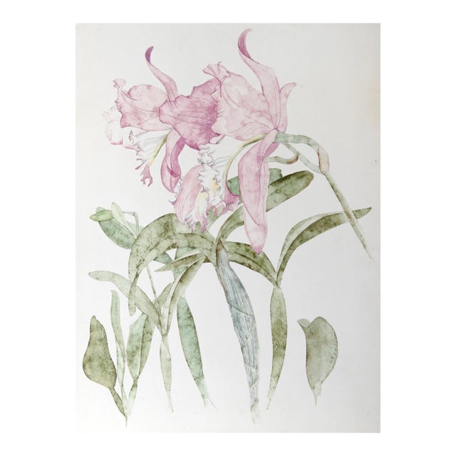 Purple Irises, Carl Bergman For Sale