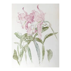 Purple Irises, Carl Bergman