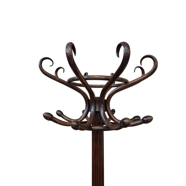 Column Coat Rack in the style of Thonet, 1960s For Sale - Image 12 of 13