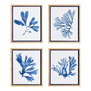 Indigo Seaweed Prints, Set Of 4 For Sale