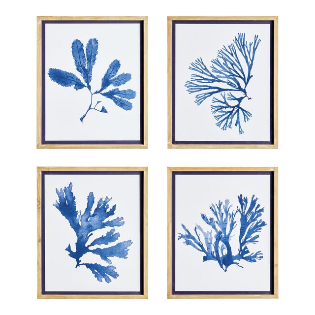 Indigo Seaweed Prints, Set Of 4 For Sale