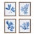 Indigo Seaweed Prints, Set Of 4 For Sale