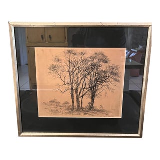 William Meyerowitz Signed Etching & Drypoint “The Willows,” Circa 1920 For Sale
