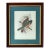 Antique Original John Gould English Bird Print, Framed For Sale