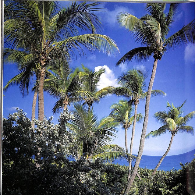 White "Miami Hot & Cool" Book 1990 Cerwinske, Laura For Sale - Image 8 of 12