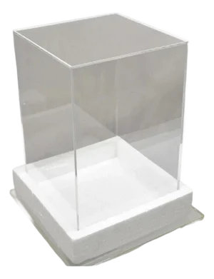 Late 20th Century 5 Sided 18" Clear Acrylic Lucite Vitrine Display Case Christine Taylor Collection