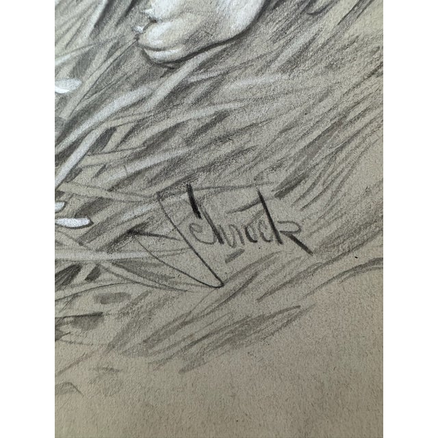 1940s 1940s Original Signed Graphite Illustration of Pointer Hunting Dog, 11.75 × 9 In. For Sale - Image 5 of 6
