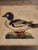 18th Century Set of Three Duck Engraving Prints From the Nederlandsche Vogelen (Dutch Birds) For Sale - Image 4 of 12