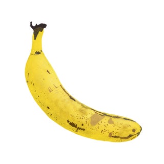 Portrait of a Banana Large Graphic Fine Art Print - 20" x 20" For Sale