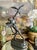 Early 20th Century Antique Pompeian Bronze-Clad Danseuse Aux Aras Sculpture For Sale - Image 5 of 5