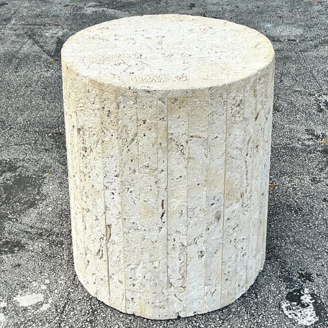 Coastal Vintage Coastal Coquina Strip Pedestal For Sale - Image 3 of 8