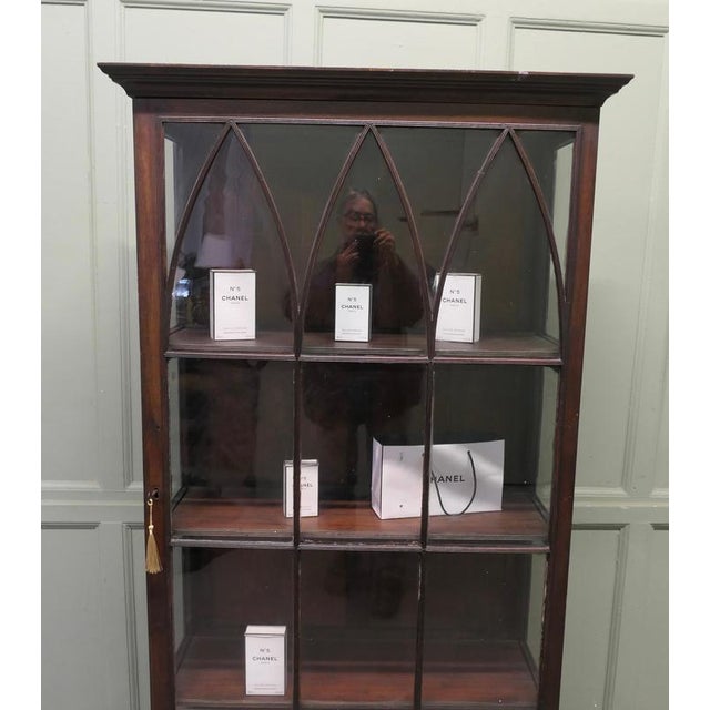 Wood Antique Display Cabinet, 1850s For Sale - Image 7 of 8