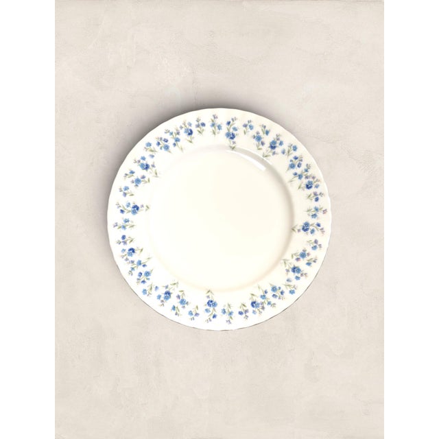 Vintage English Royal Albert Memory Lane Bone China Quartet - Set of Four For Sale - Image 11 of 16